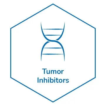 Apollomics-Drug-Group_Tumor Inhibitors Tumor Inhibitors