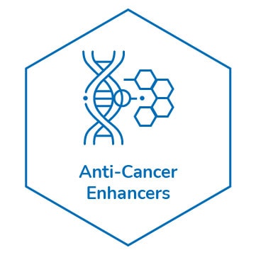 Anti-Cancer Enhancers